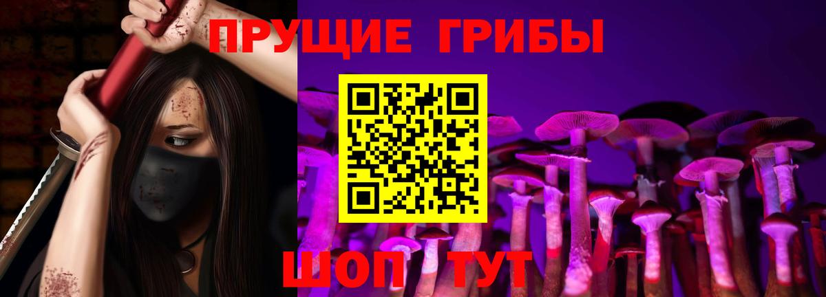 Галлюциногенные грибы Cubensis  Вход с VPN  Богданович 